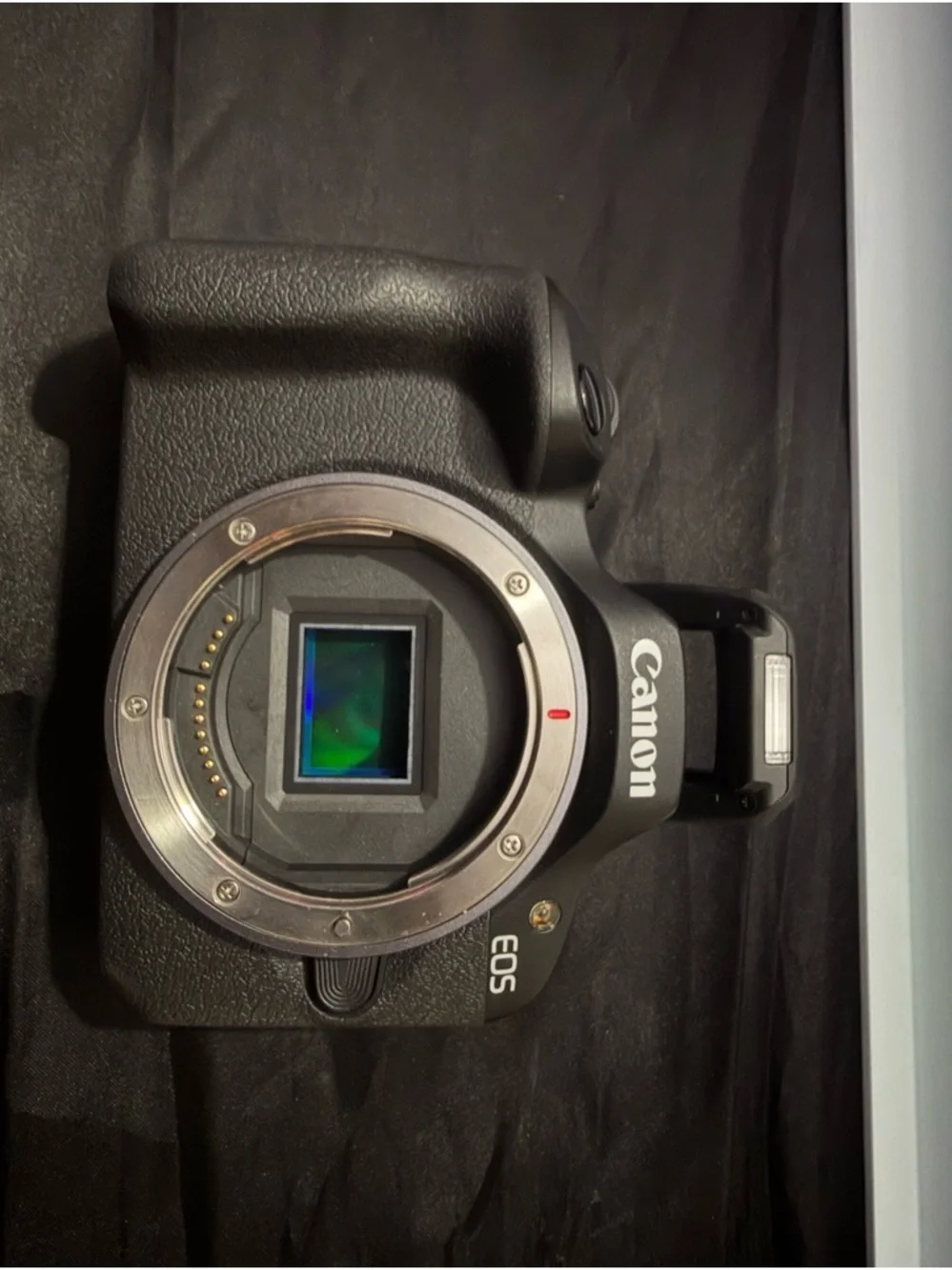 Canon Black Mirrorless EOS Camera Body with Visible Sensor